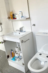 Robust Bathroom Damage including doors ripped off cupboards, toielt seat ripped off and overhead cupboard smashed.